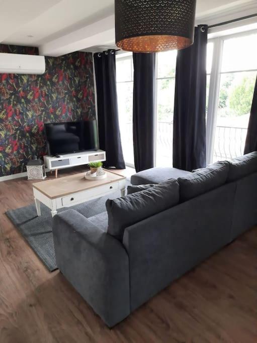 Superbe Appartement Climatise Au Centre Ville 777 Brazey-en-Plaine Exterior photo